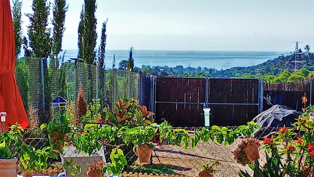  till salu hus på landet Estepona Costa Del Sol Occidental 21