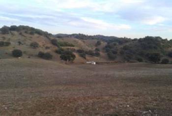 Coripe Campiña De Morón Y Marchena hus på landet foto 5125295