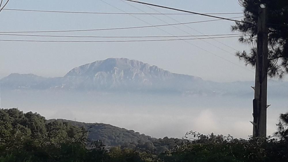  till salu tomt El Cuartón Campo De Gibraltar 1