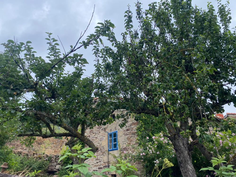  till salu hus Rebolledo Campoo-Los Valles 22