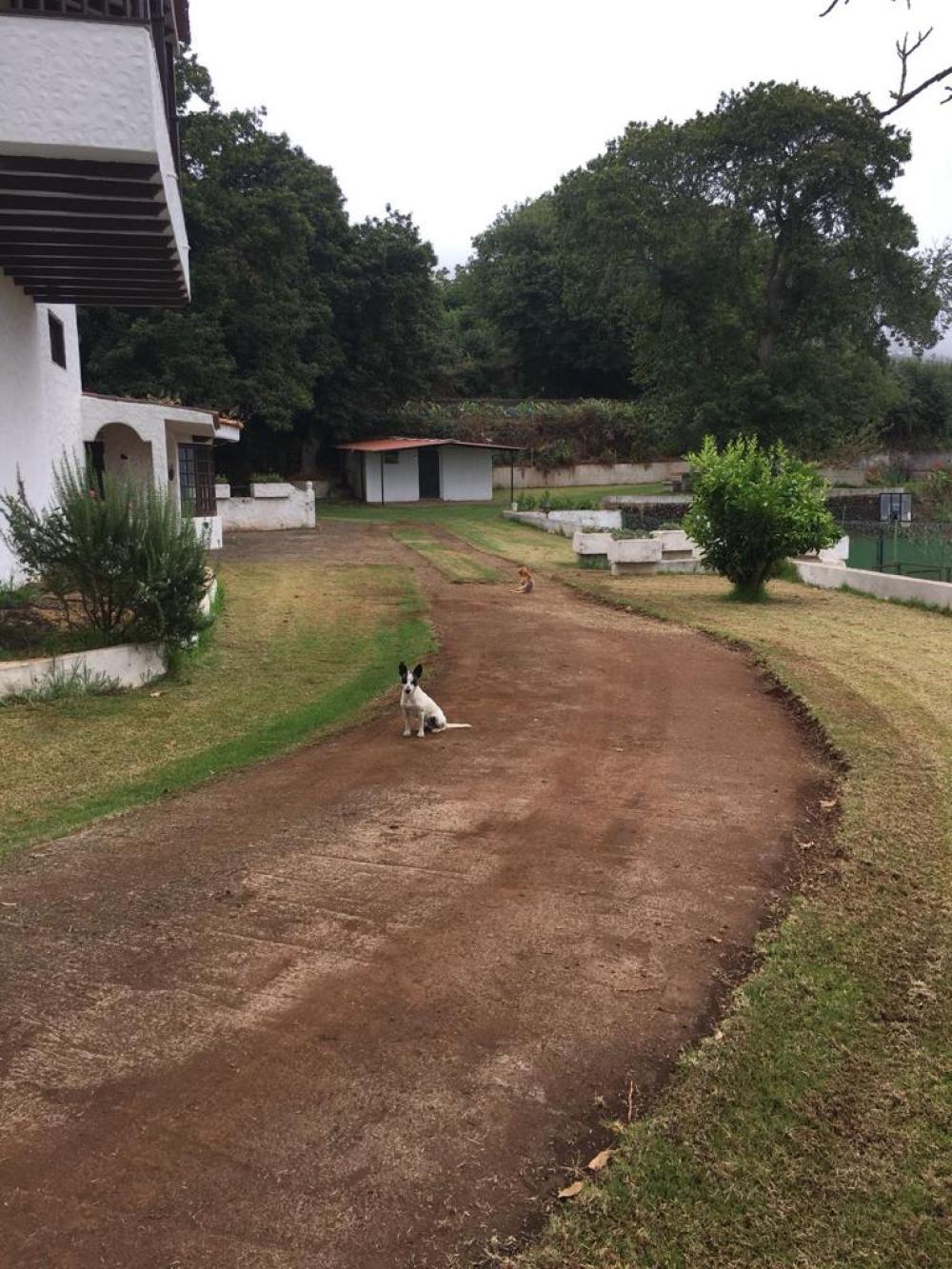  till salu villa La Matanza De Acentejo Zona Norte 7