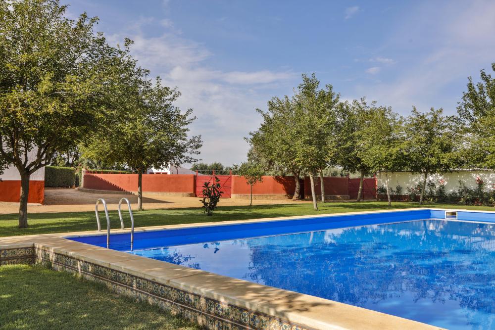  till salu villa Carmona Campiña De Carmona 12