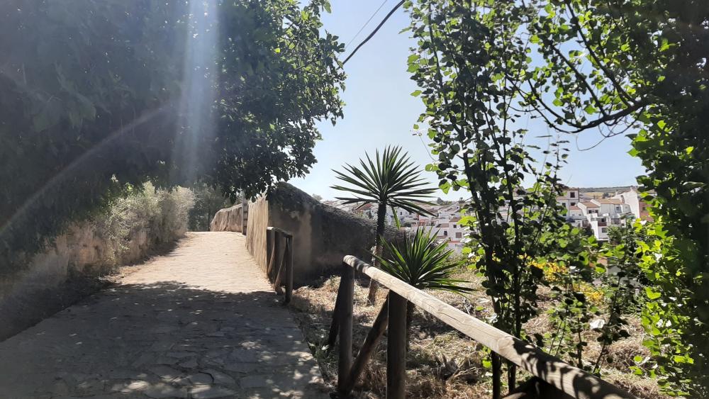  till salu hus Arriate Serranía De Ronda 15