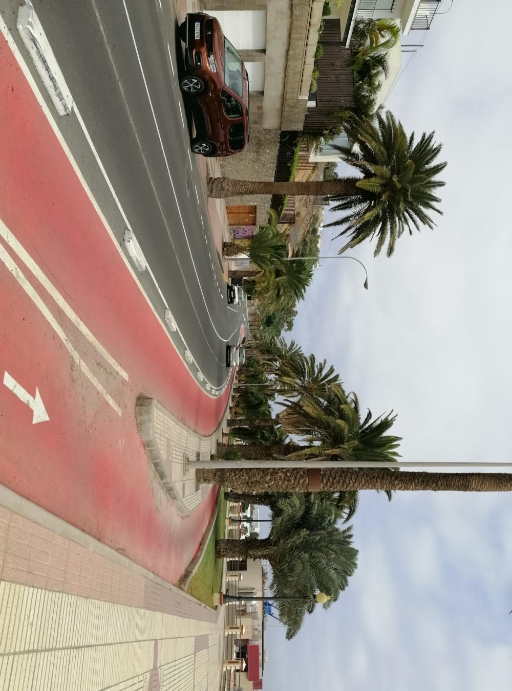  till salu lägenhet Ciudad Alta Palmas De Gran Canaria (Las) 11