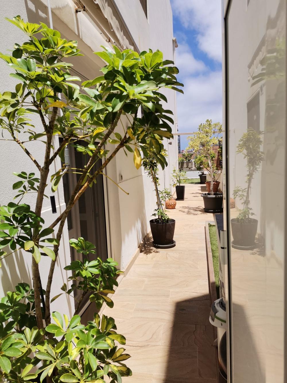  till salu lägenhet Ciudad Alta Palmas De Gran Canaria (Las) 2