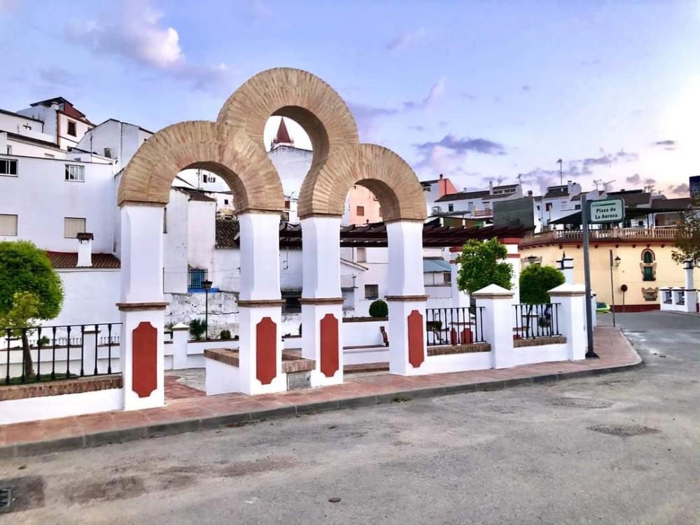  till salu hus Arriate Serranía De Ronda 17