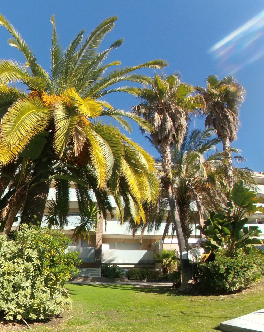  till salu lägenhet Salou Tarragonès 26