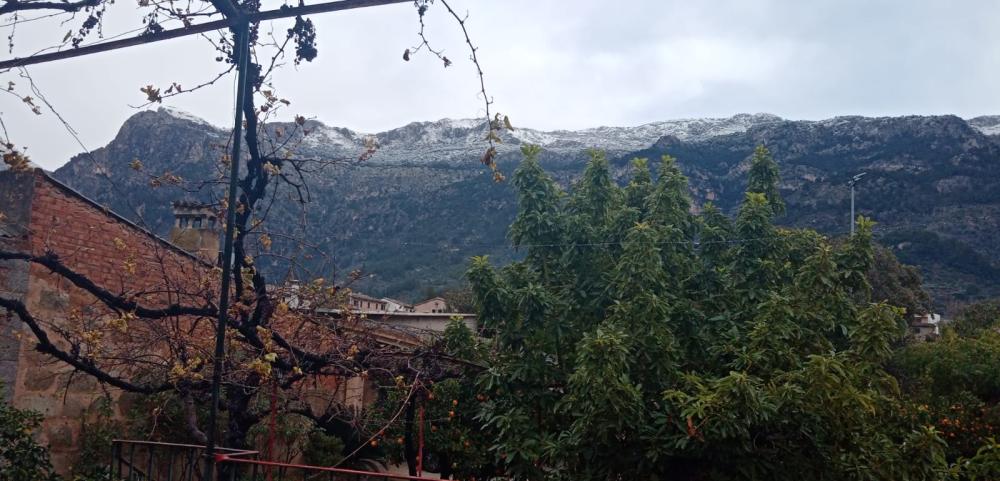  till salu hus Sóller Tramuntana 4