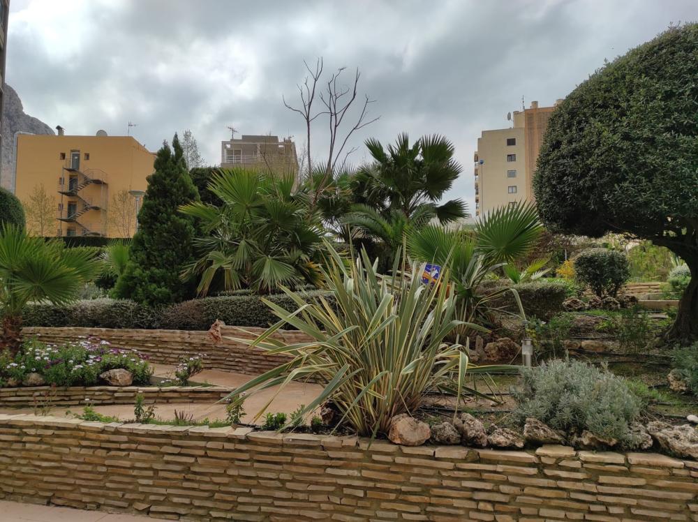  till salu lägenhet Calpe Marina Alta 31