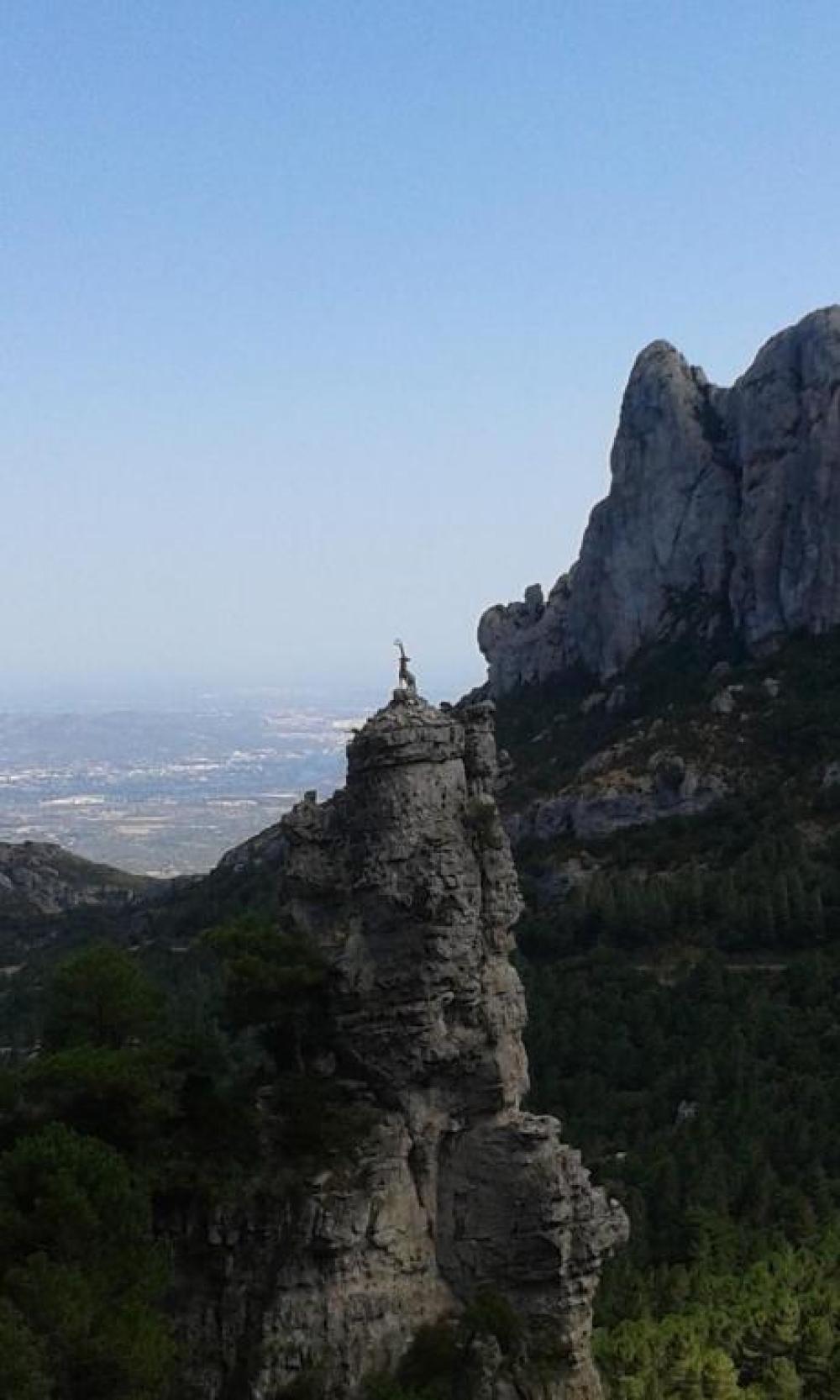  till salu hus Els Reguers Baix Ebre 10