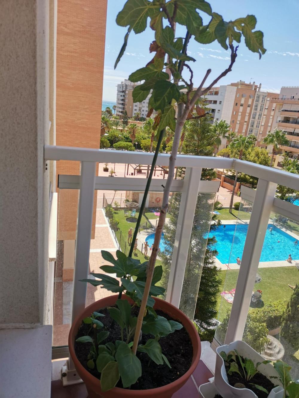  till salu lägenhet Carretera De Málaga Málaga-Costa Del Sol 18