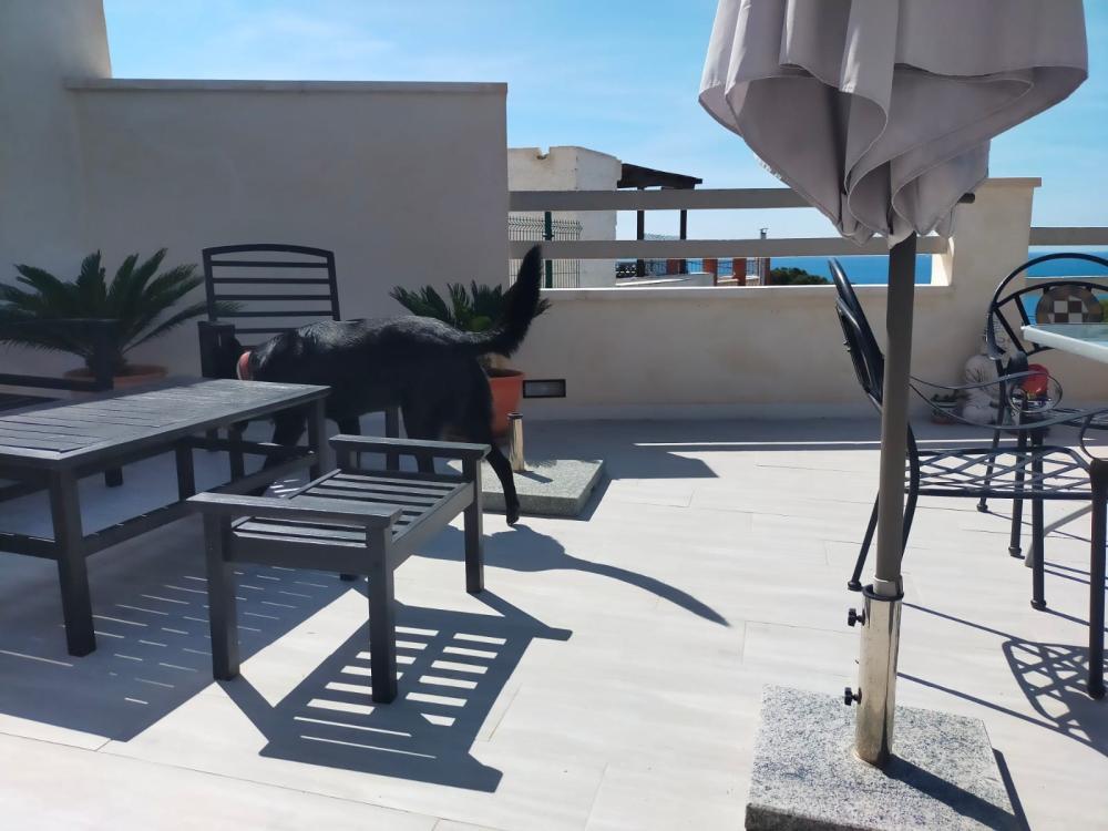  till salu villa Isla Plana Campo De Cartagena 9