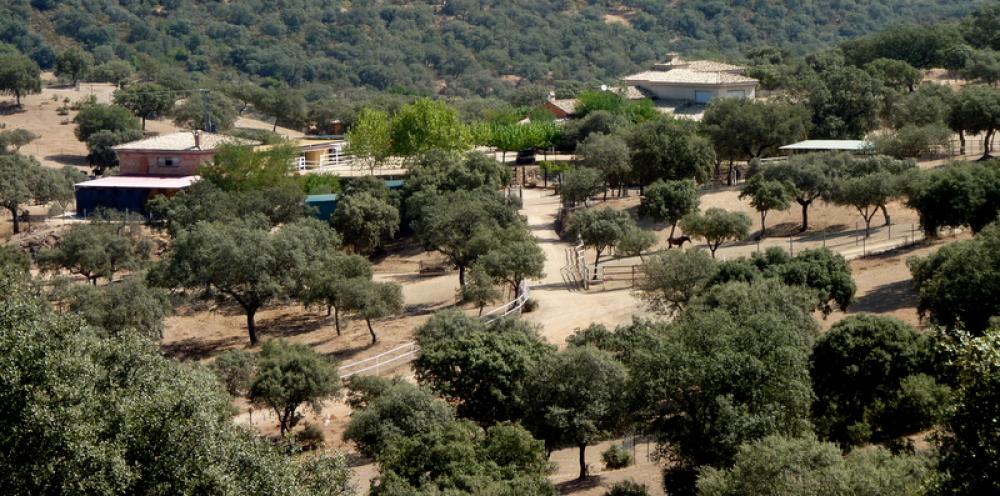  till salu hus på landet Espiel Valle Del Guadiato 4