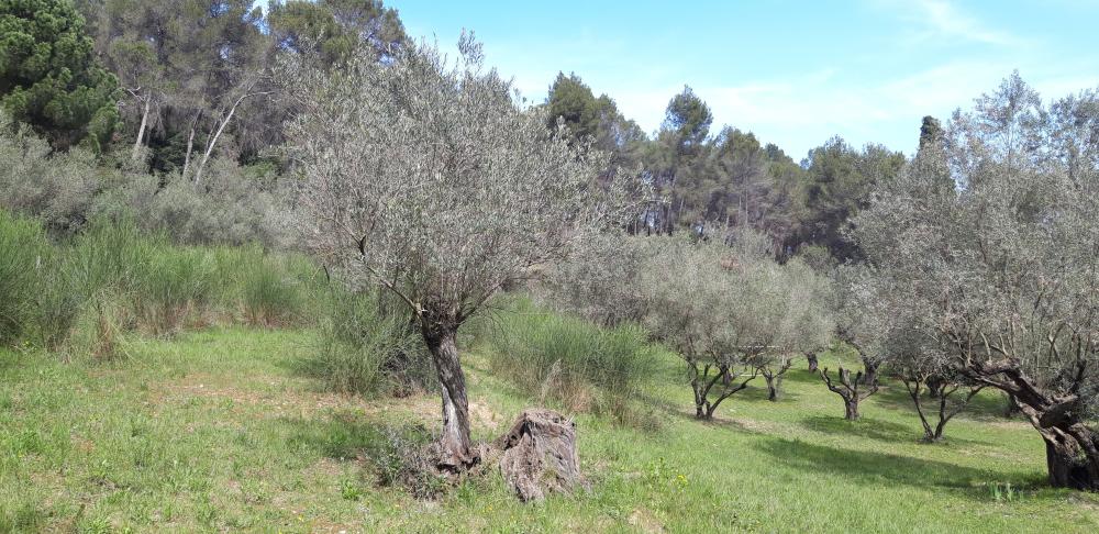  till salu hus på landet Sant Andreu De La Barca Baix Llobregat 6