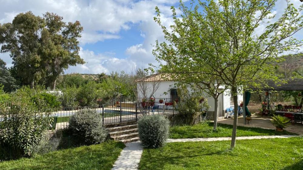  till salu villa Baena Campiña De Baena 13