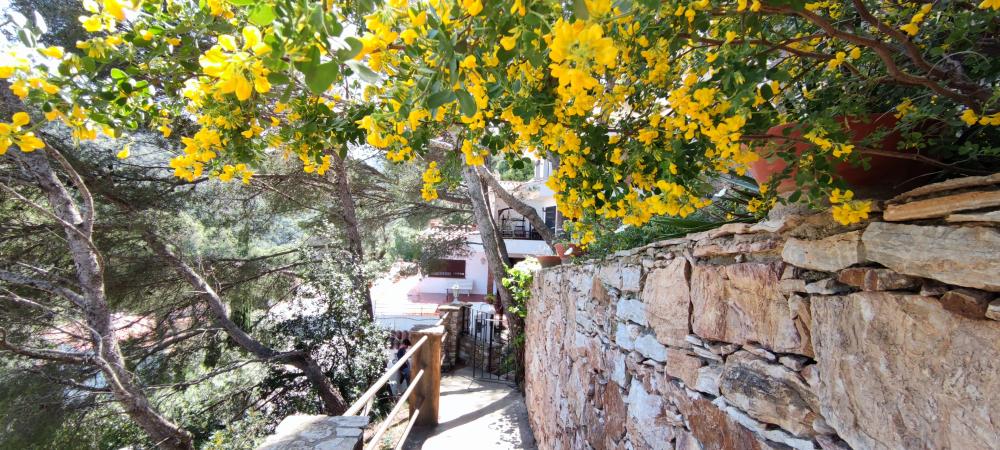  till salu hus Begur Baix Empordà 5