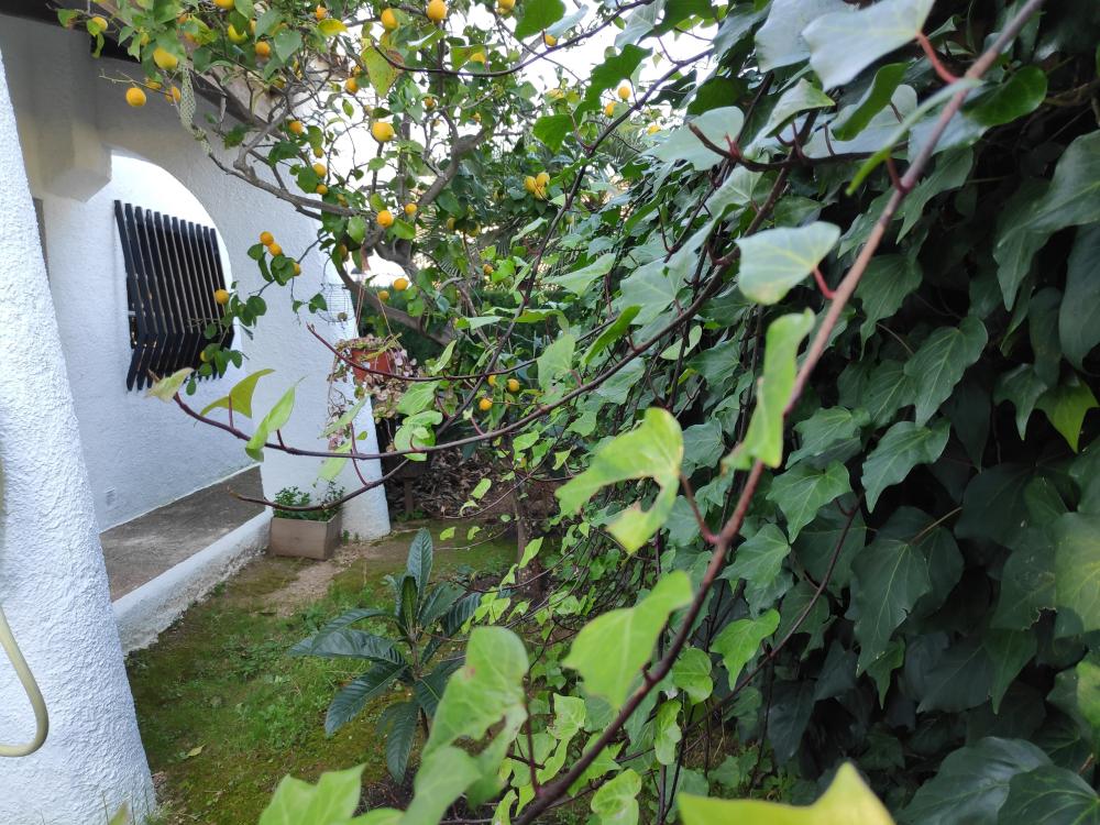  till salu villa Barri Maritim De Comarruga Baix Penedès 17