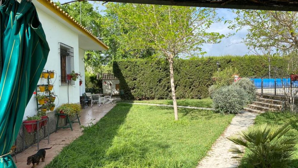  till salu villa Baena Campiña De Baena 11