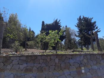 Esporles Tramuntana tomt foto 4958596