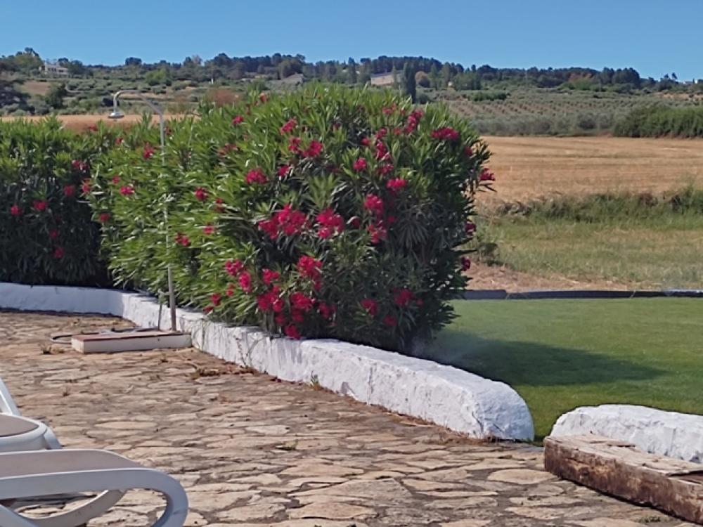  till salu hotell Ronda Serranía De Ronda 33