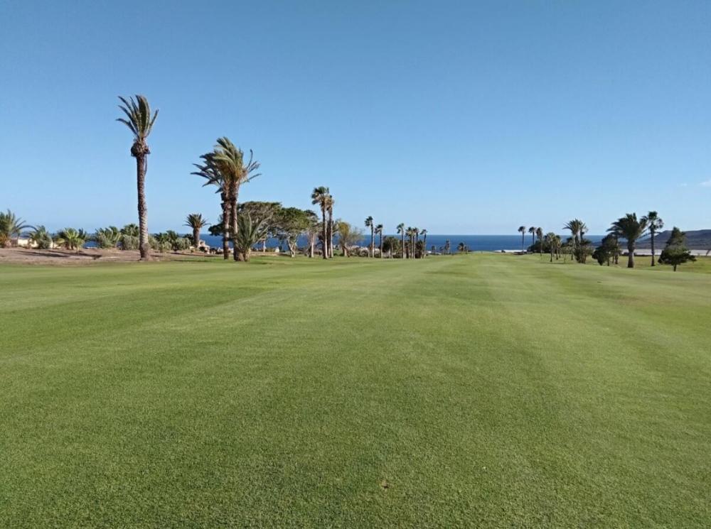  till salu lägenhet Amarilla Golf Zona Sur 25