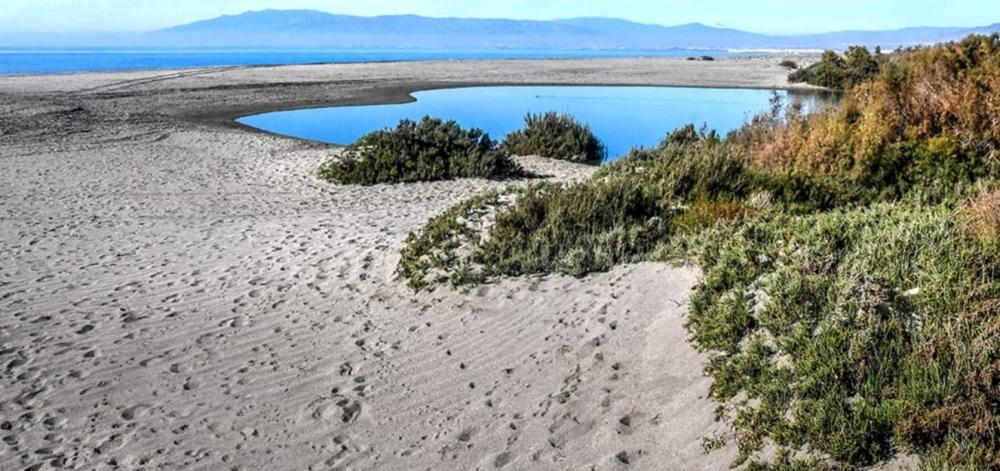  till salu tomt Cabo De Gata Comarca Metropolitana De Almería 10