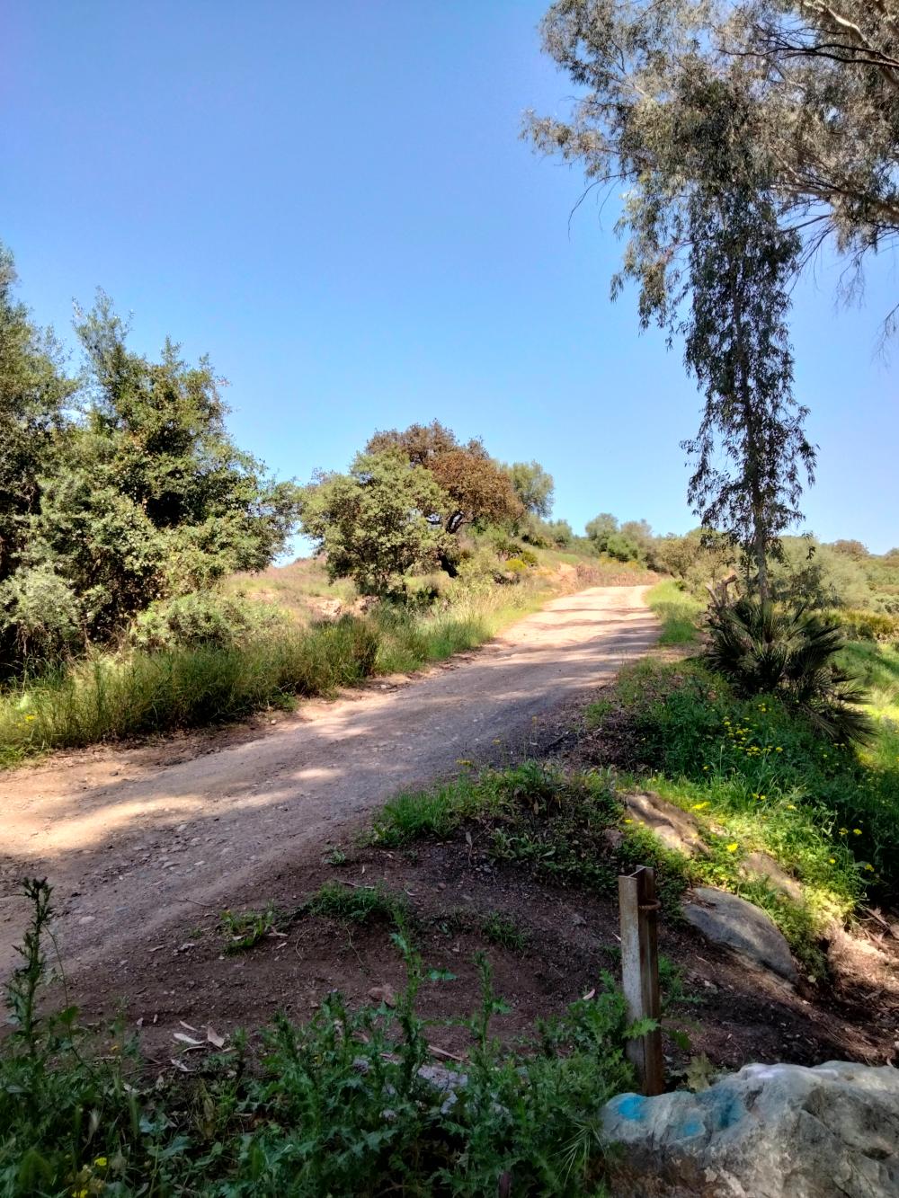  till salu lokal Villanueva Del Río Y Minas Vega Del Guadalquivir 14