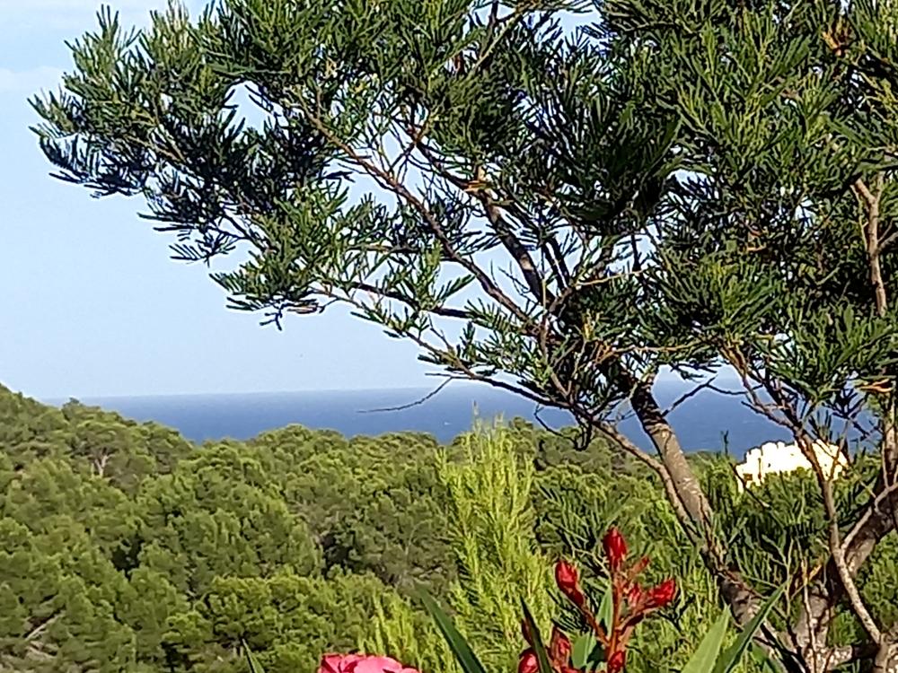  till salu villa Sierra De Altea Marina Baixa 14