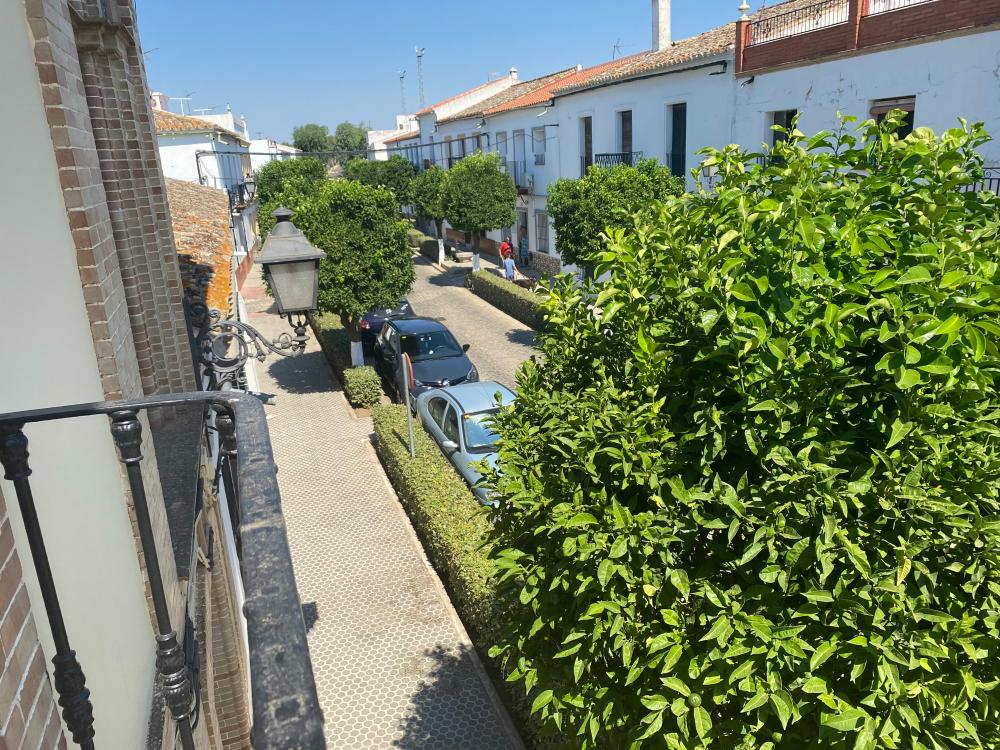  till salu hus El Pedroso Sierra Norte 25