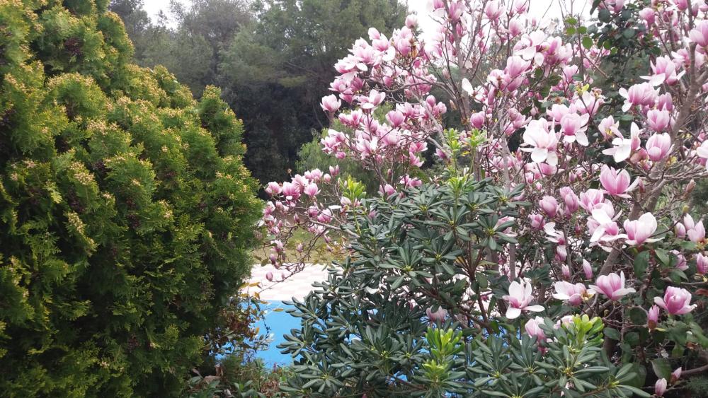  till salu villa Santa Eulàlia De Ronçana Vallès Oriental 8
