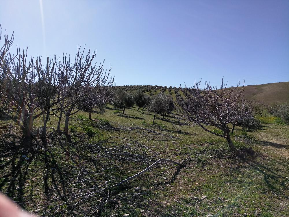  till salu hus på landet Gabia Grande Vega De Granada 3