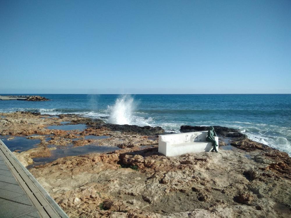  till salu lägenhet Torrevieja Baix Segura 15