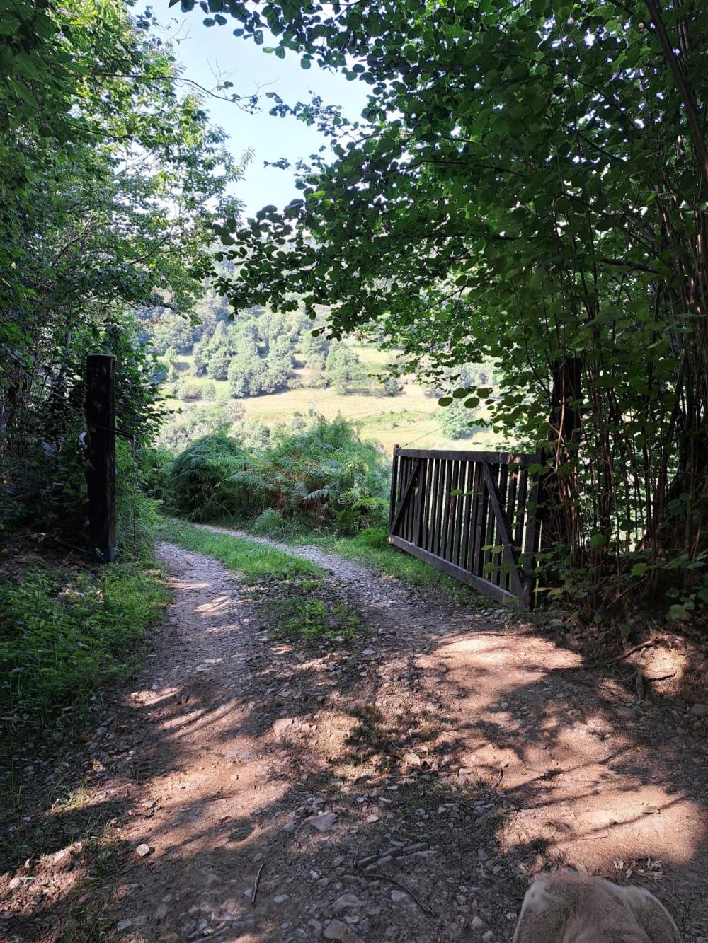  till salu hus på landet Campo De Caso Nalón 26