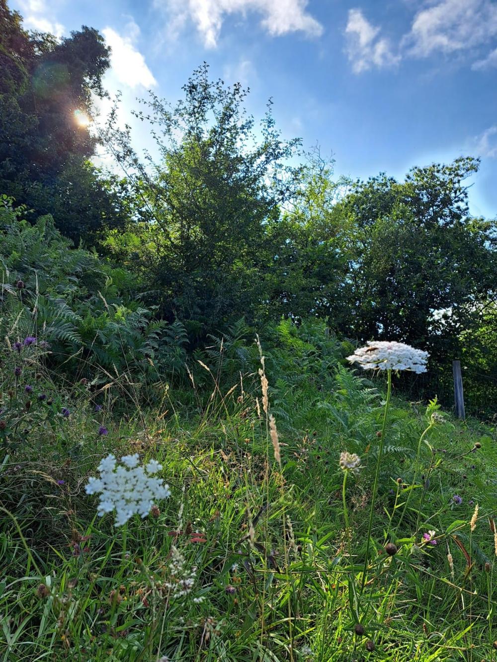  till salu hus på landet Campo De Caso Nalón 37