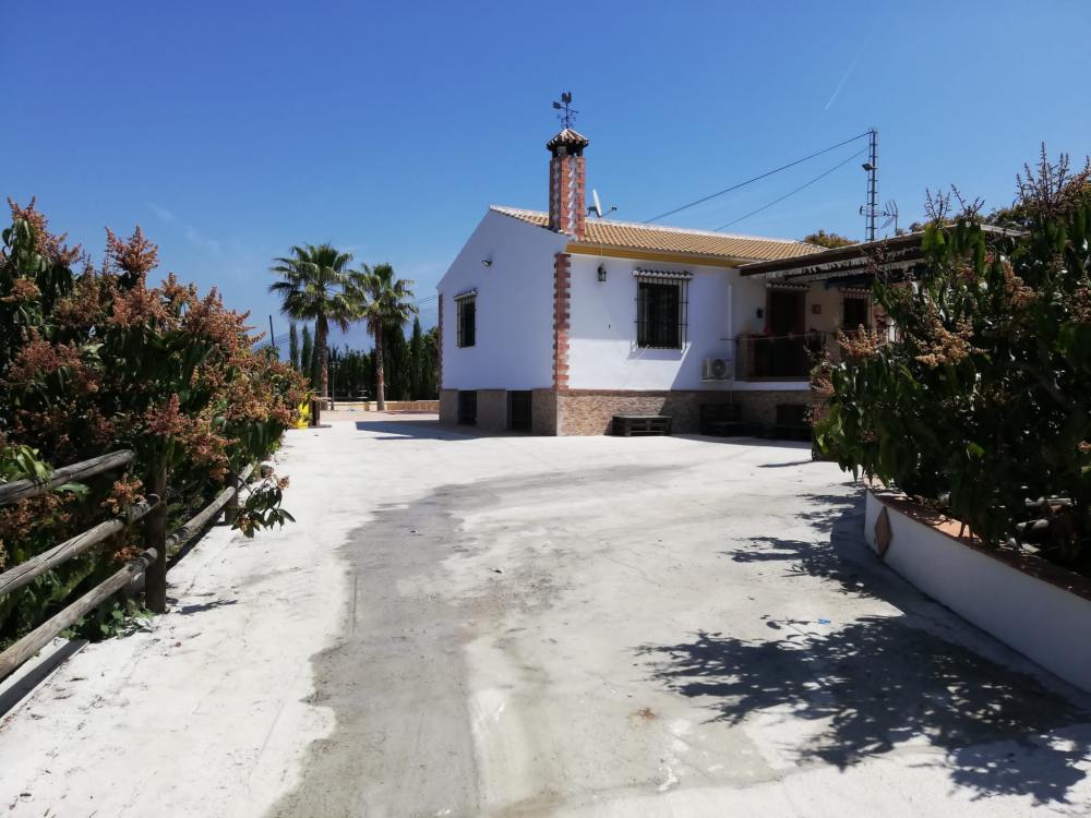  till salu villa Benamocarra Axarquía 4