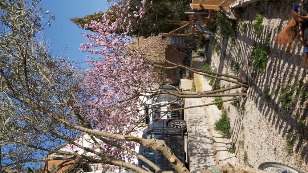  till salu hus La Torre Anoia 24