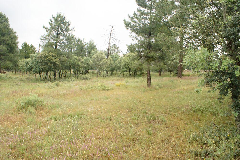 till salu tomt Marugán Campiña Segoviana 5