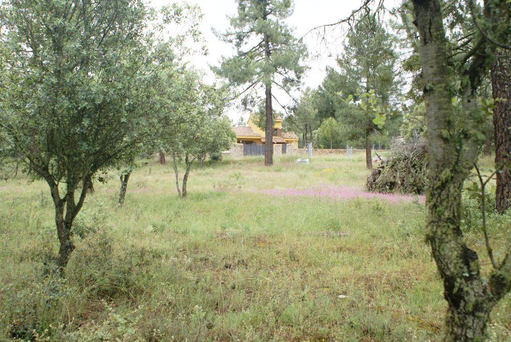  till salu tomt Marugán Campiña Segoviana 10