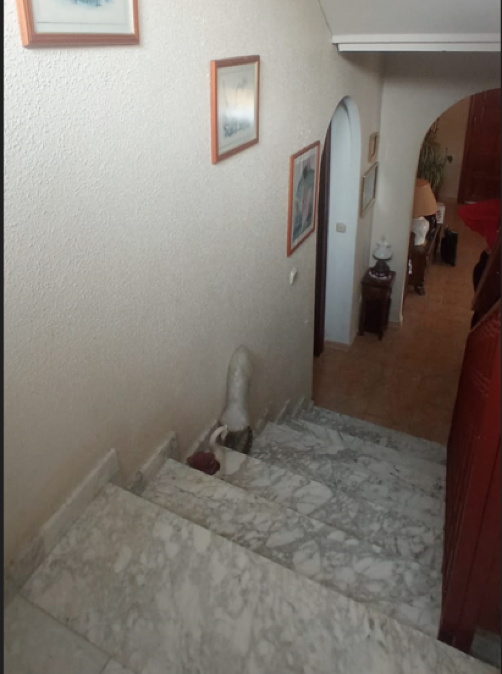  till salu villa Calabardina Alto Guadalentín 61