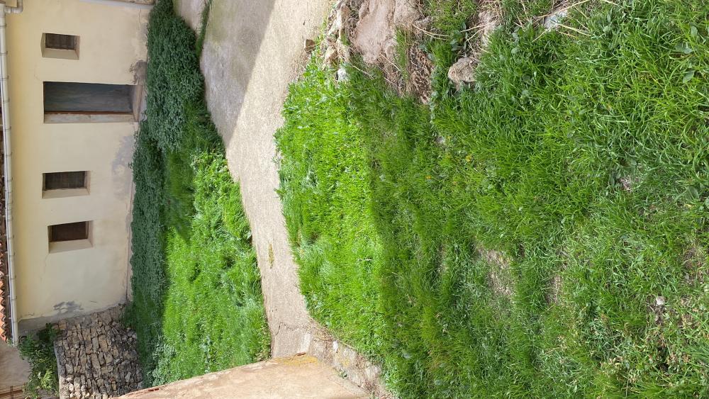  till salu lägenhet Orihuela Del Tremedal Sierra De Albarracín (La) 6