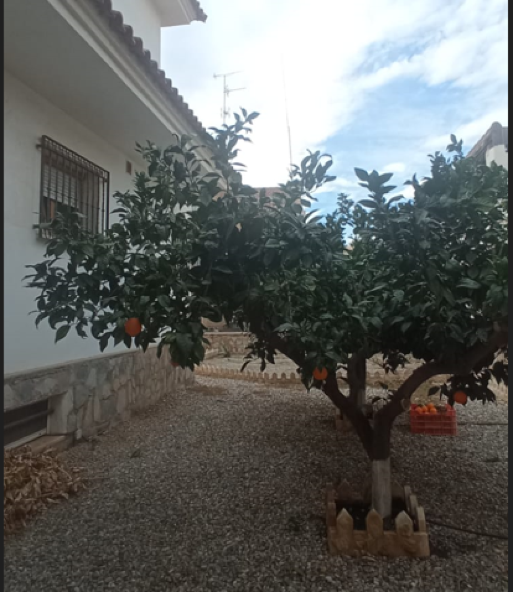  till salu villa Calabardina Alto Guadalentín 22