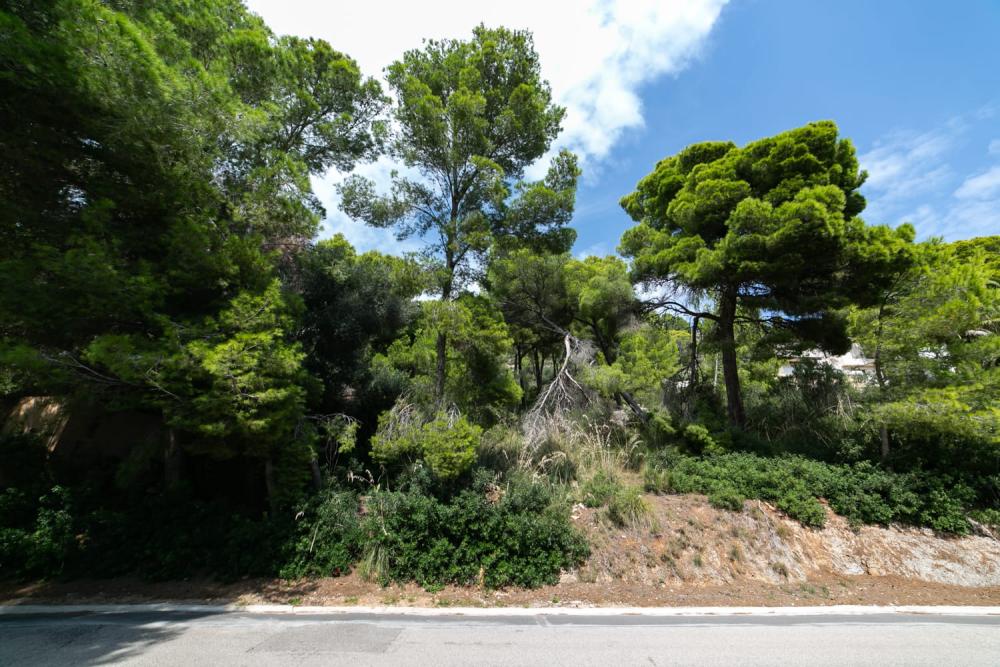  till salu tomt Costa De Los Pinos Llevant 10