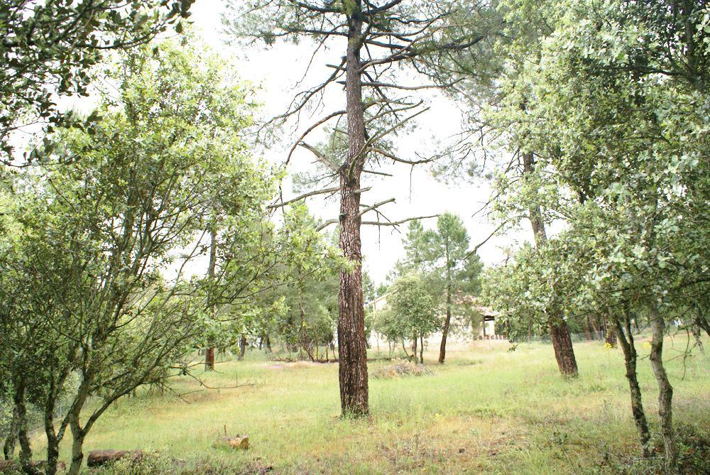  till salu tomt Marugán Campiña Segoviana 9