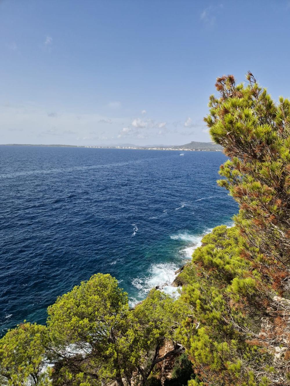  till salu tomt Costa De Los Pinos Llevant 3