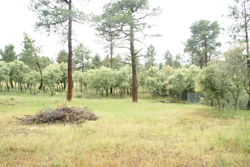  till salu tomt Marugán Campiña Segoviana 12