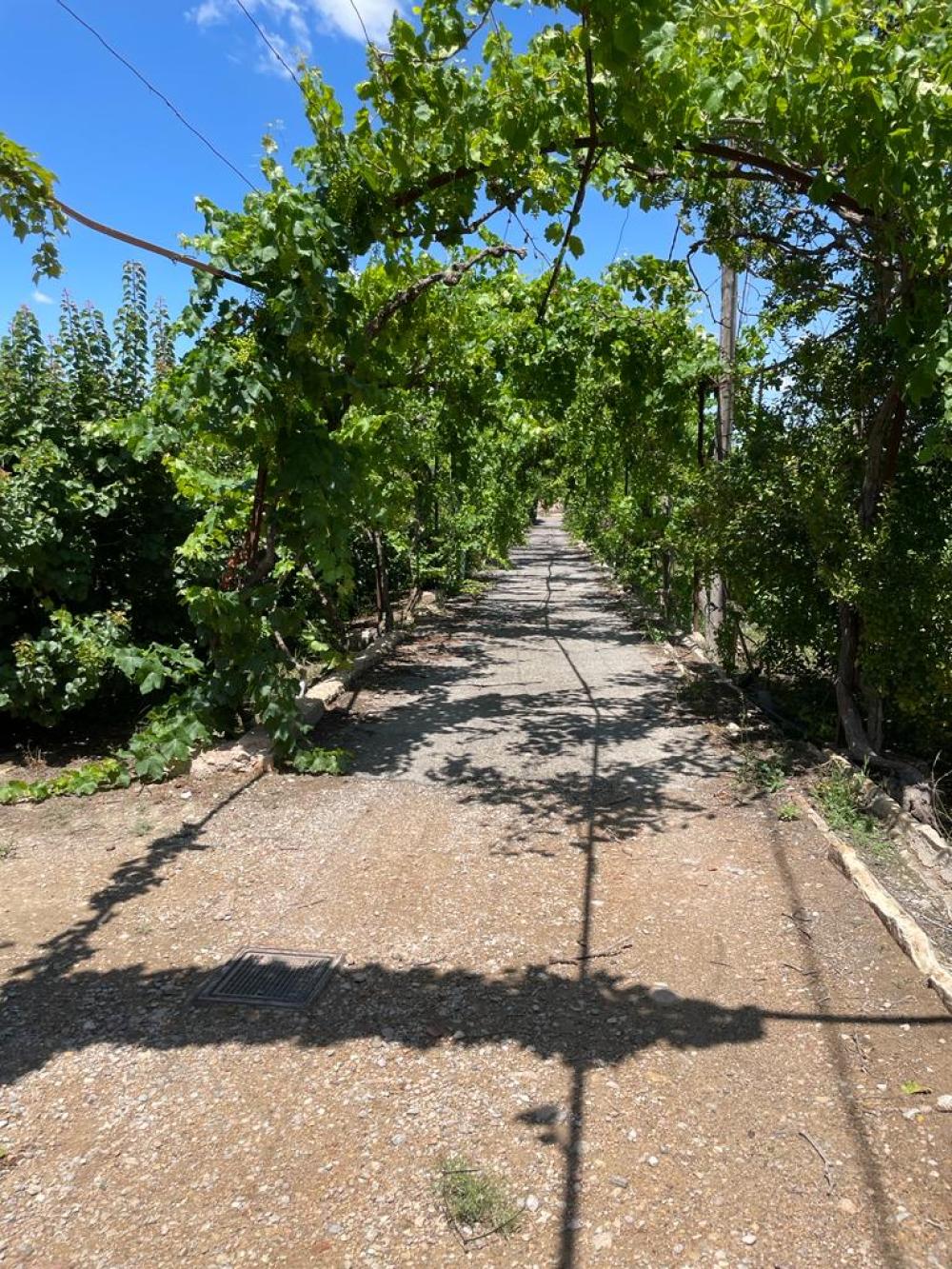  till salu hus på landet Miravet Ribera D'ebre 5