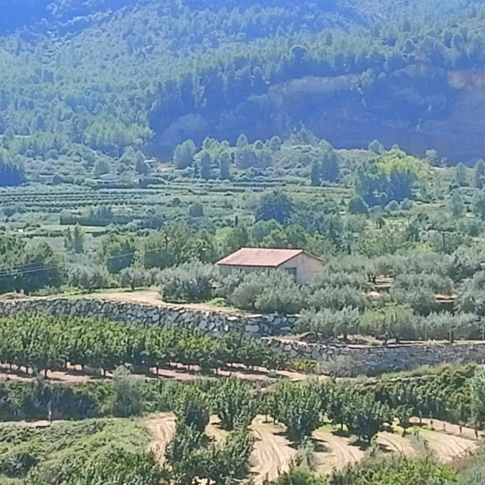  till salu hus Rugat Vall D'albaida 1