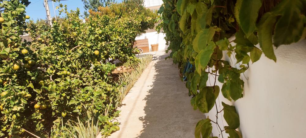  till salu hus Sant Jordi De Ses Salines Sant Josep De Sa Talaia 18