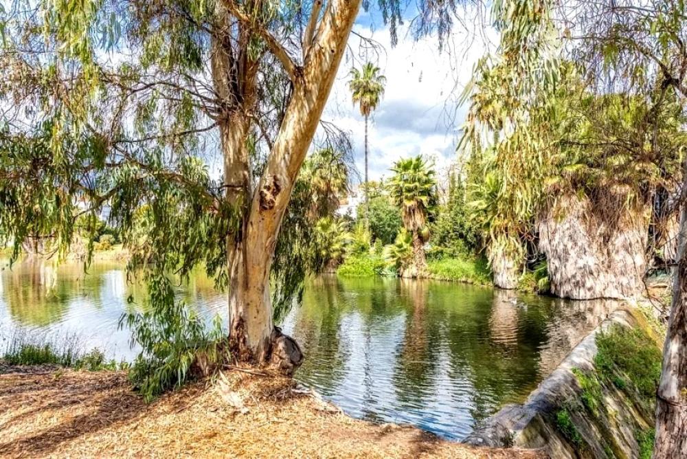  till salu lägenhet Nueva Andalucía Costa Del Sol Occidental 21