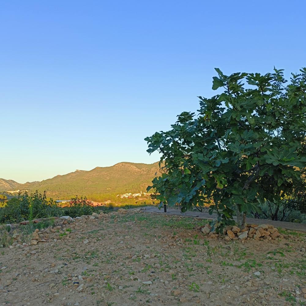  till salu hus Rugat Vall D'albaida 4